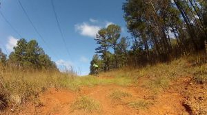 Scene from the Power lines trail.