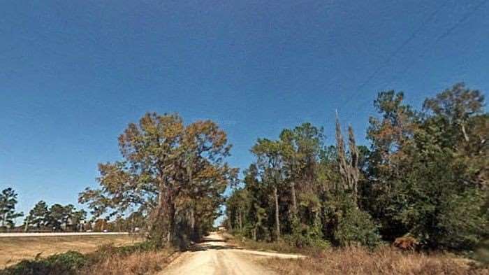 The Google Street View car drove all of this road. Win!