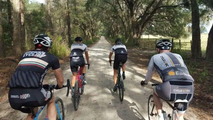 One of our favourite roads close to Williston, FL.