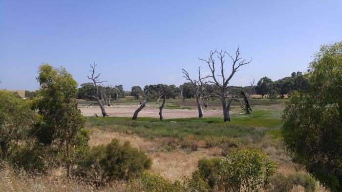 Australia2016-Strath-Milang22