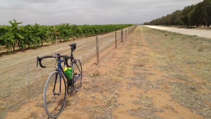 JOM's steed, vineyards and dirt roads.