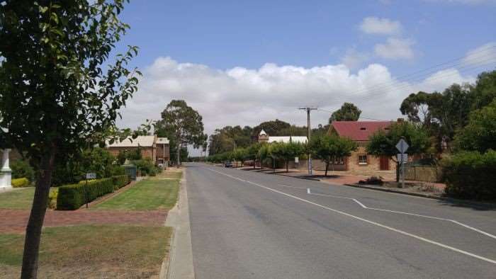 Bustling metropolis of Langhorne Creek.