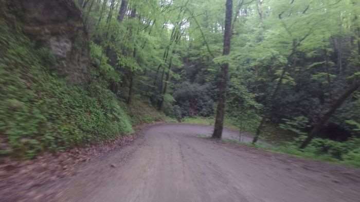One of the tricky hairpin turns along Maple Sally Road.