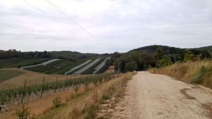 Sweet gravel cycling in the Adelaide Hills.