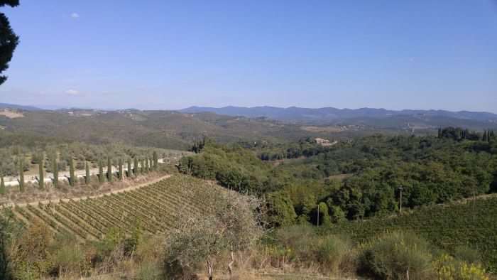 A view of the descent out of Vagliagli.