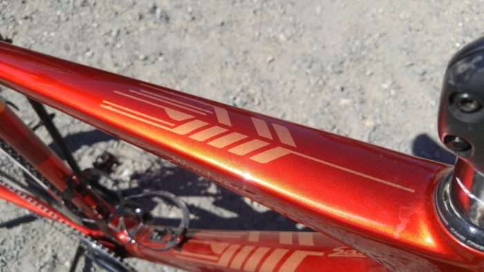 salsa warbird carbon review