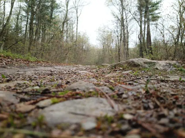 unPAved of the Susquehanna River Valley