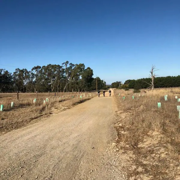 australian gravel cycling