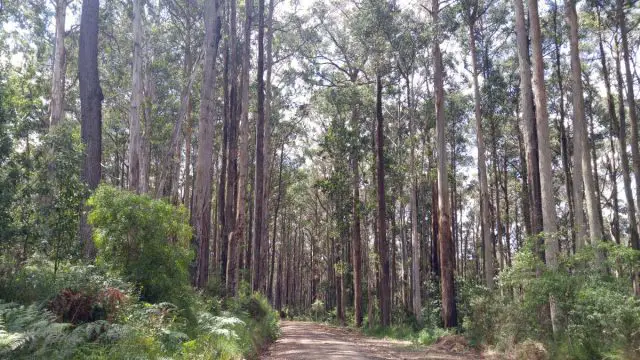 australian gravel cycling