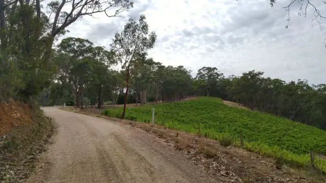 australian gravel cycling