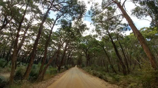 australian gravel cycling