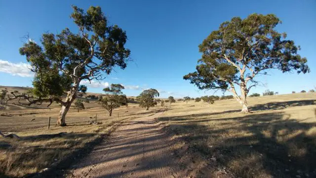 australian gravel cycling