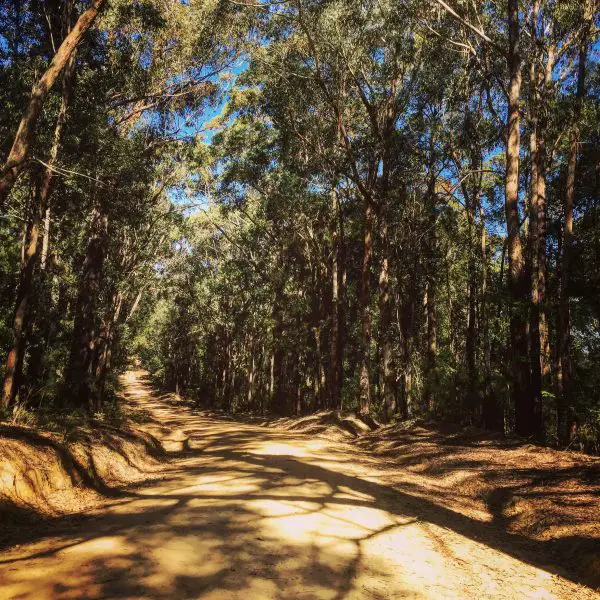 australian gravel cycling