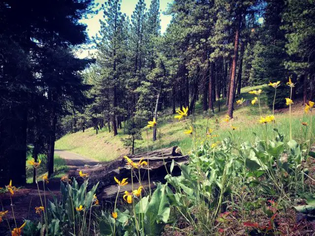 oregon gravel cycling