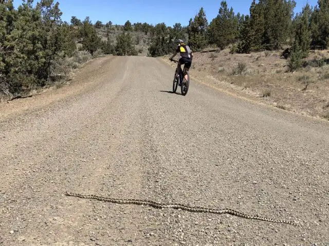 oregon gravel cycling