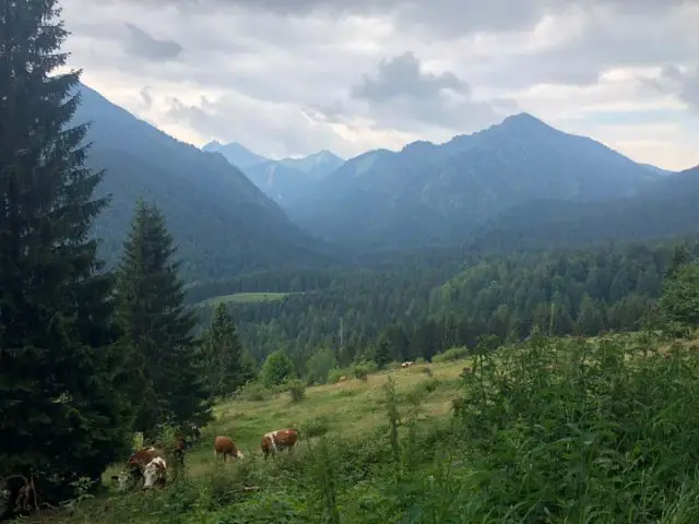 gravel cycling in germany