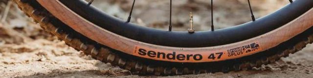 wtb sendero 650b tire