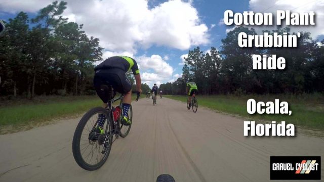 cotton plant grubbin ride ocala