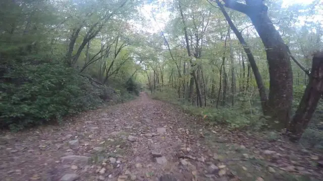 unpaved Pennsylvania race report