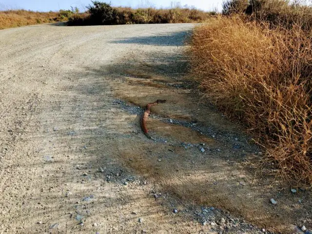 san diego gravel cycling