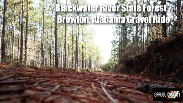 blackwater river state forest gravel ride