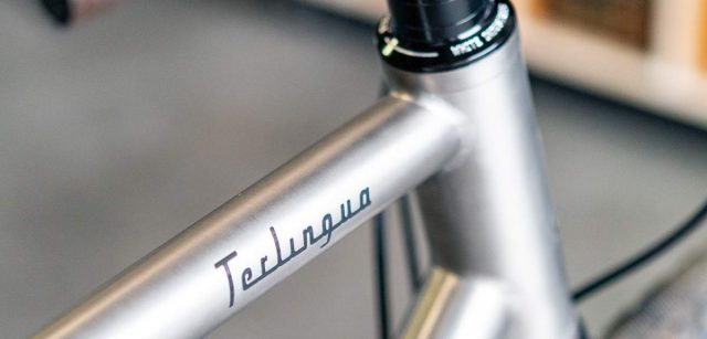 chumba terlingua titanium bike