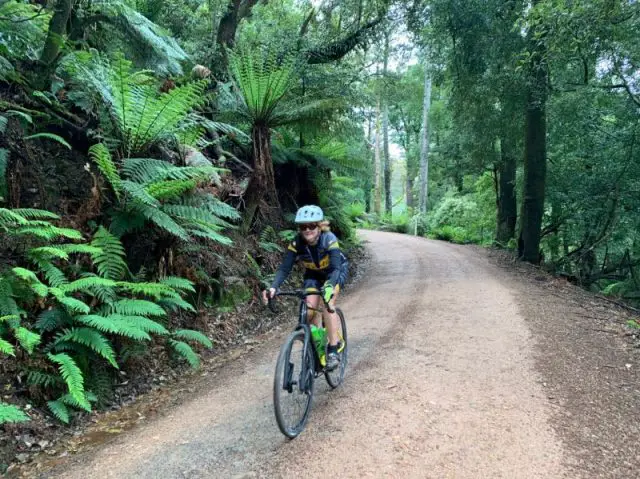 tasmania gravel cycling