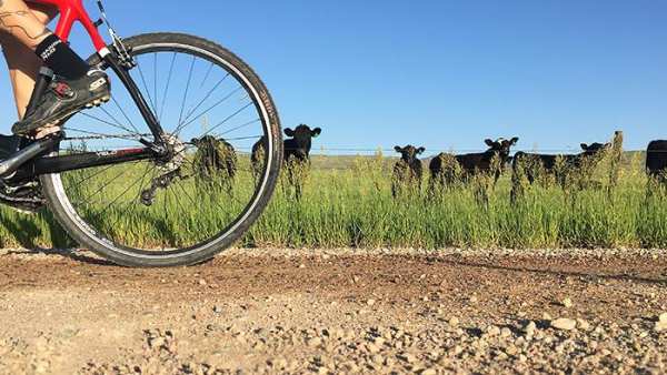 gravel races