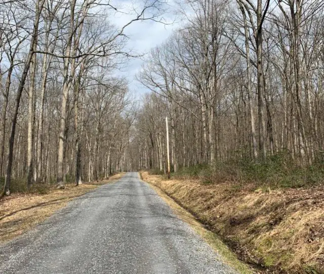 cycling pennsylvania rothrock state park