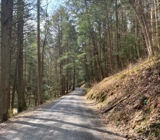 cycling pennsylvania rothrock state park