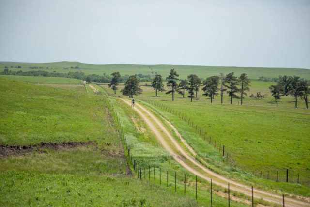 dirty kanza 200 2019 results