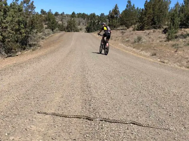 oregon bucket list gravel rides