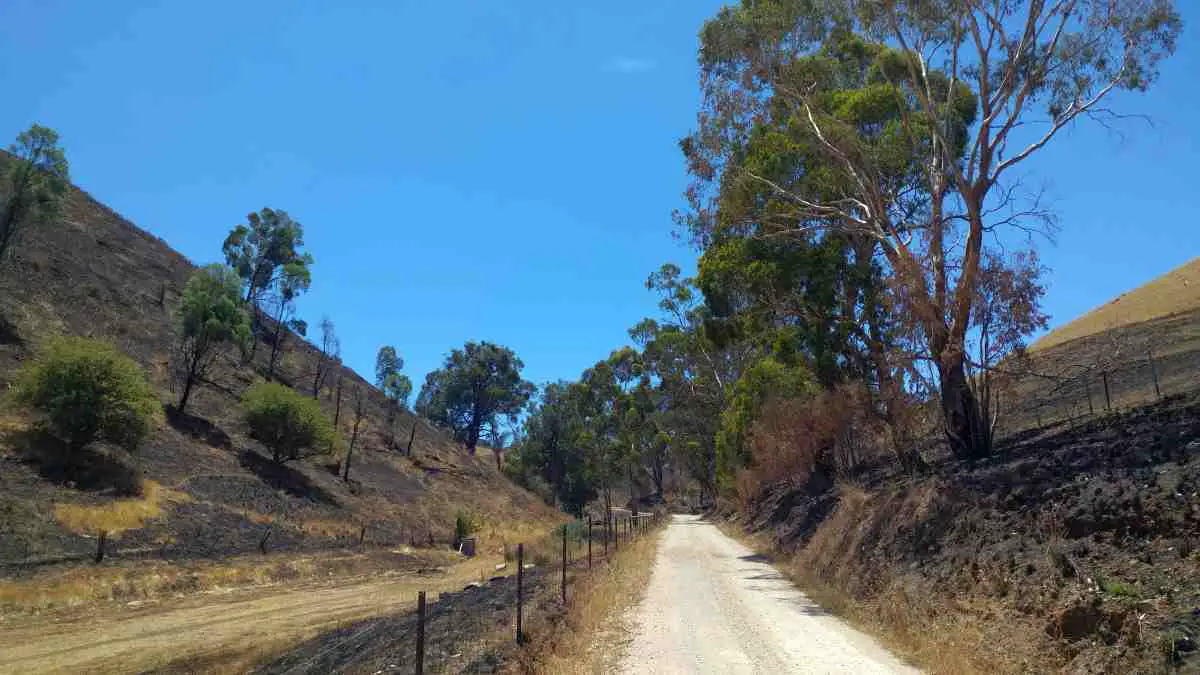 cudlee creek bushfires gravel cycling in australia