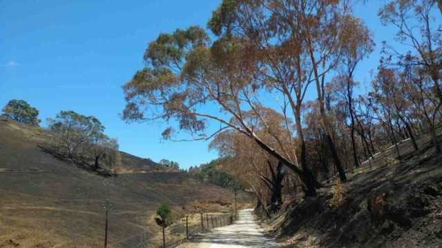 cudlee creek bushfires gravel cycling in australia