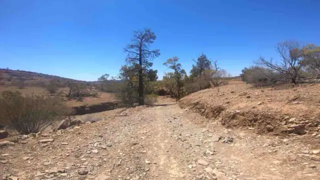gravel cycling in the australian outback flinders ranges