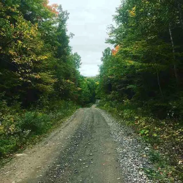 gravel cup canada 2020