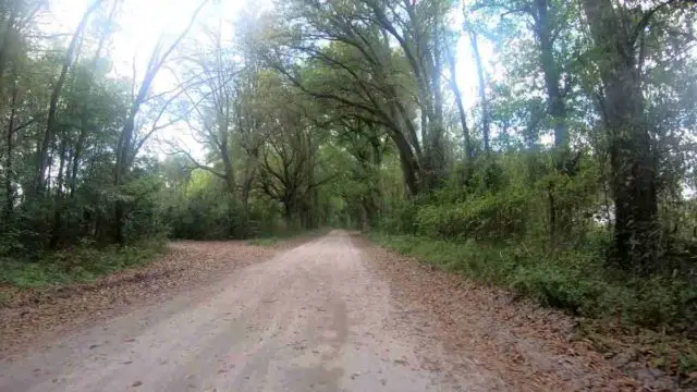 long gravel bike rides in north florida