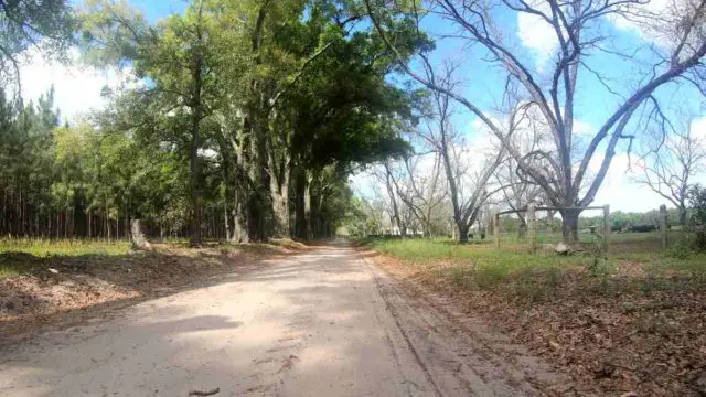 long gravel bike rides in north florida