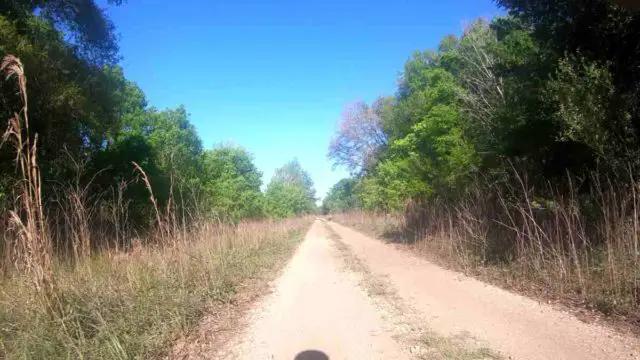 long gravel bike rides in north florida