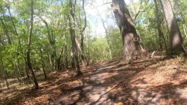 long gravel bike rides in north florida