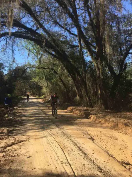 dirty kanza 200 training for newbies