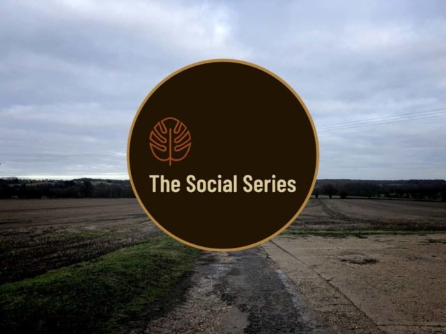 the social series uk
