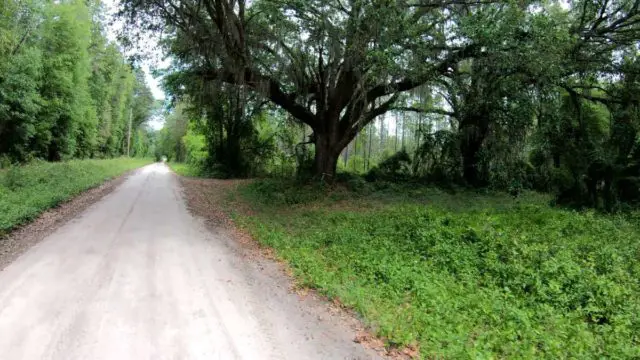 exploring north florida and south georgia by bicycle