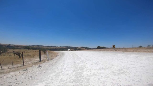 australian gravel cycling sheep stations