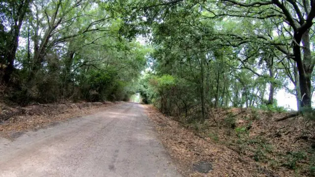 gravel cycling in nashville georgia