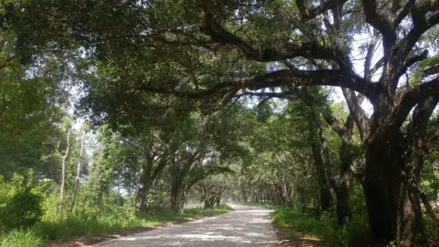 san antonio dade city florida gravel cycling