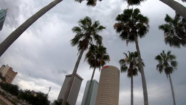 touring downtown tampa by bicycle