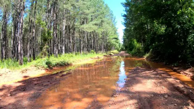 pine mountain georgia gravel cycling