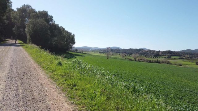 riding gravel bikes in girona spain