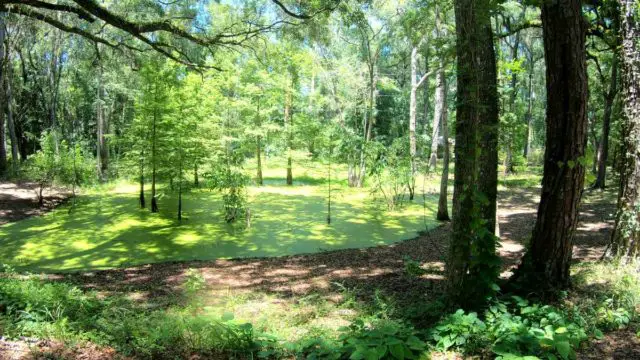 alachua high springs gravel cycling